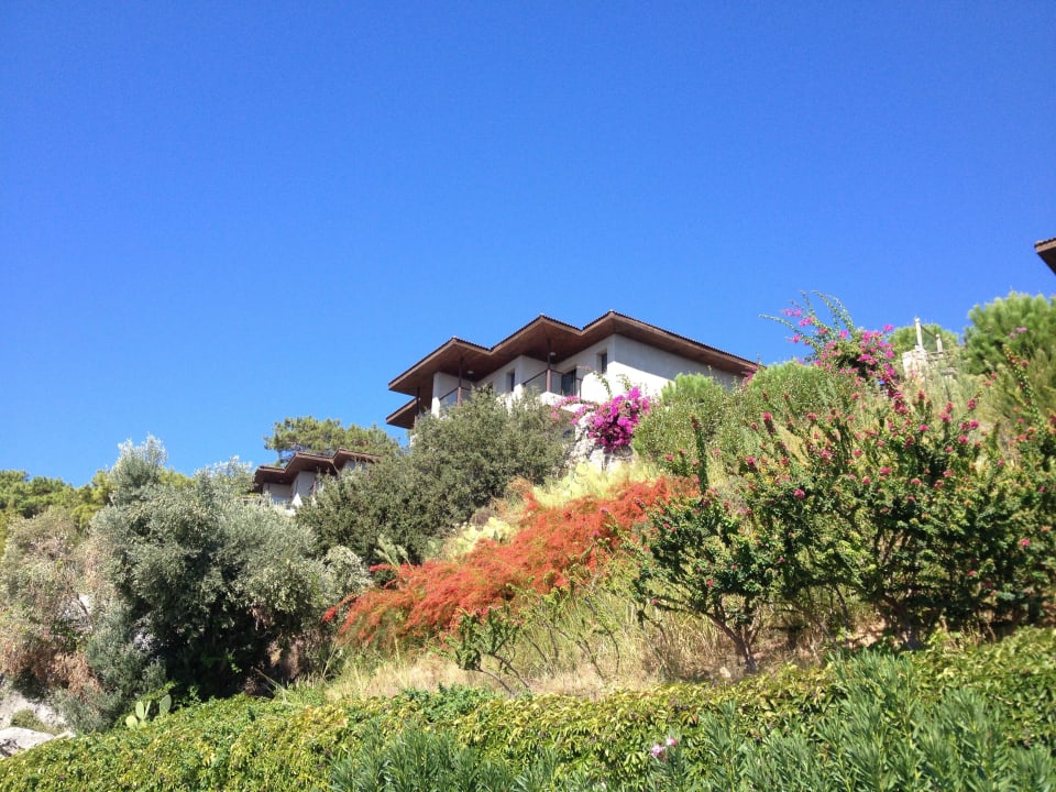 Blick auf die Zimmer TUI BLUE Seno - Adults Only