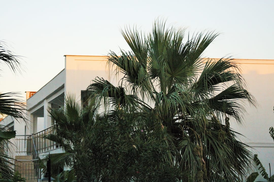 Außenansicht Labranda Lebedos Princess