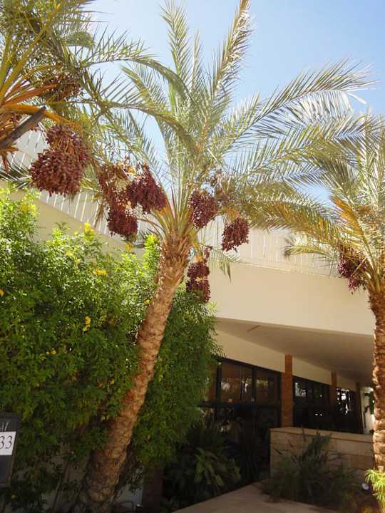 Ist das nicht schön Ghazala Beach