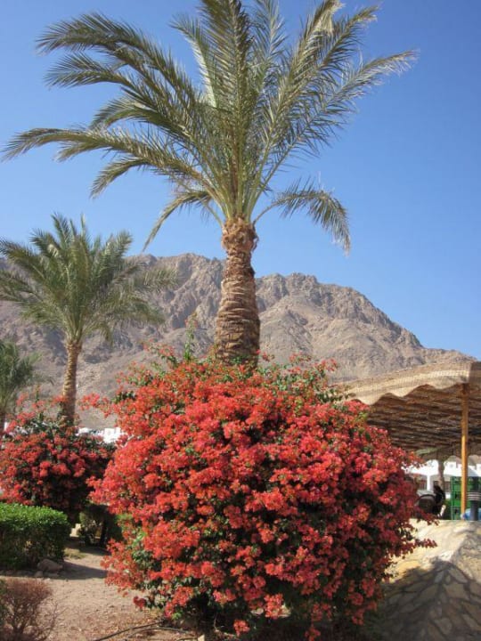 Gartenanlage Happy Life Village