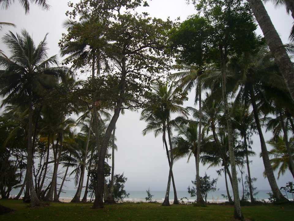 Palmengarten  Hotel Castaways Resort On Mission Beach