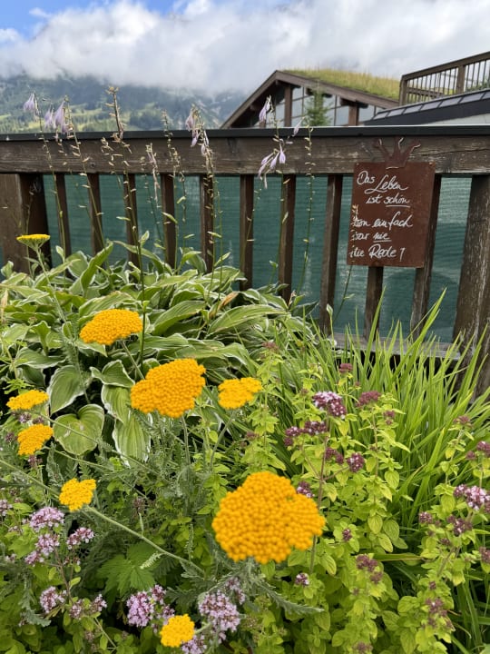 Sonstiges Übergossene Alm Resort