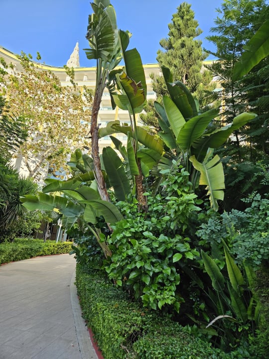 Gartenanlage Hotel Delphin Imperial