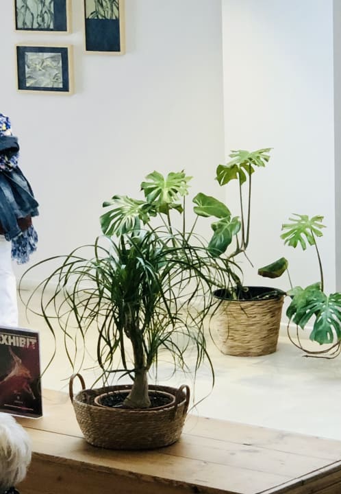 Lobby allsun Hotel Marena Beach