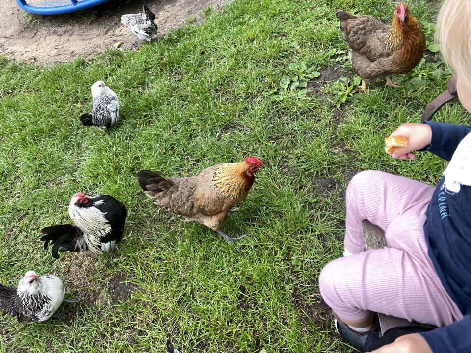 Gartenanlage Bauernhof Hinz Wenkendorf