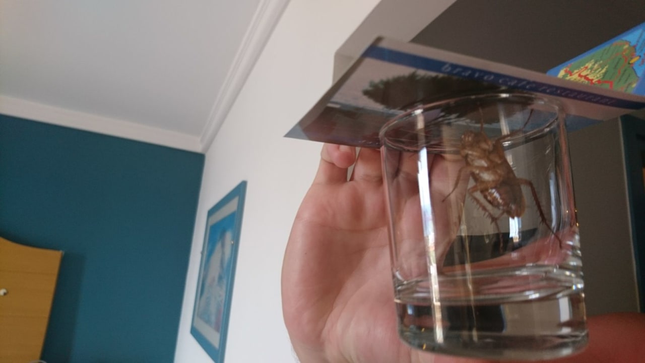 Zimmer Lagas Aegean Village