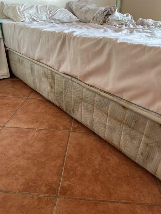 Zimmer Cinar Family Suite Hotel