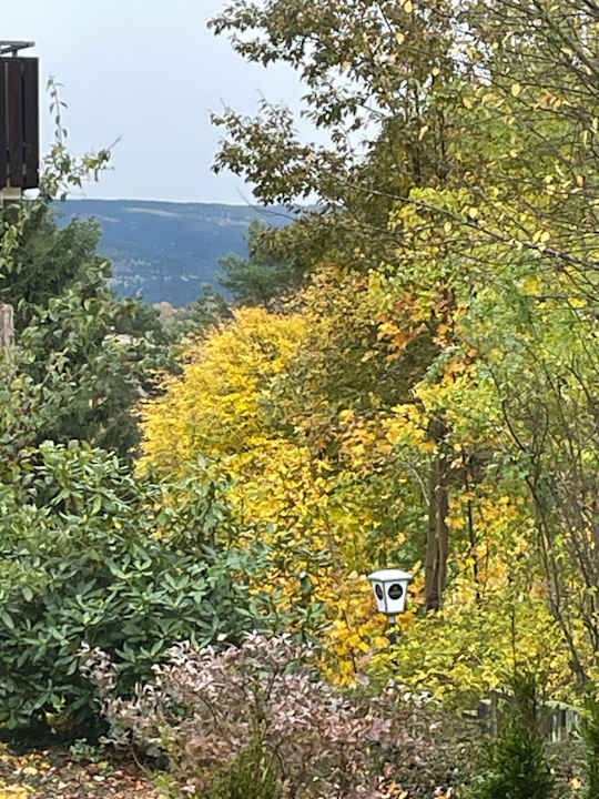 Ausblick Sonnenhotel Hoher Hahn