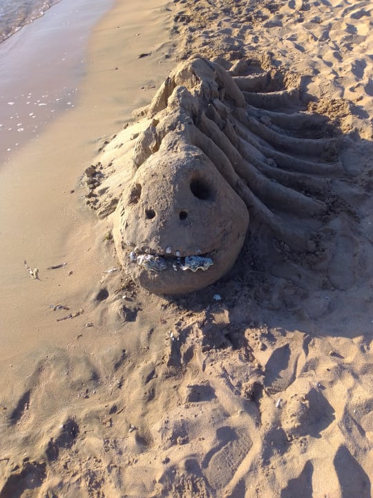 Sonstiges Shams Safaga Resort