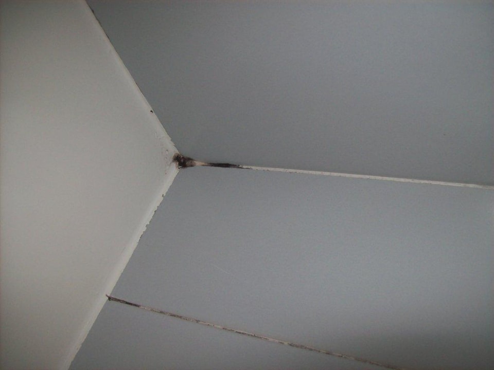 Schimmel im Bad  Hipotels Mediterraneo Club