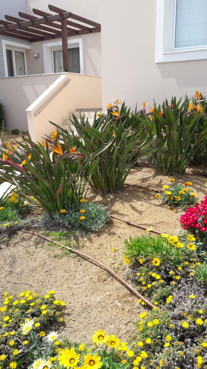 Gartenanlage Atlantica Marmari Palace