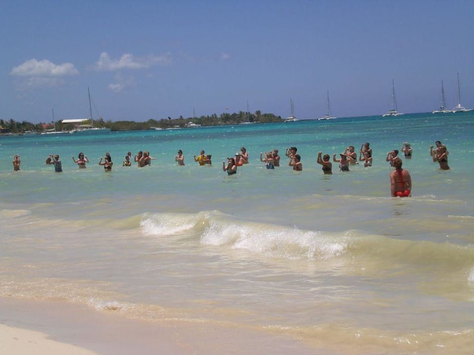 Animation Dreams La Romana Resort & Spa