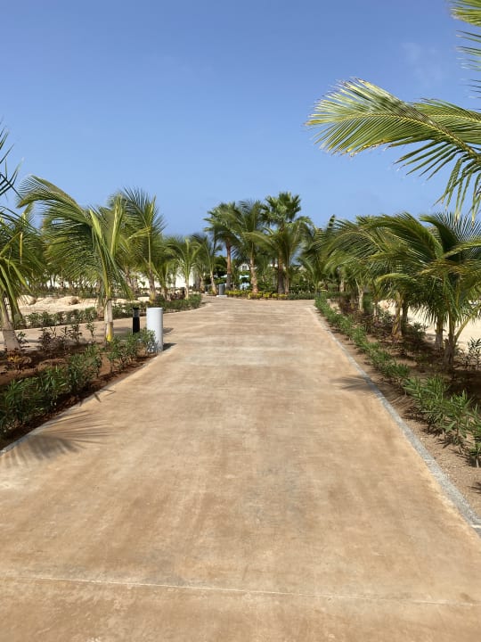 Gartenanlage Hotel Riu Palace Boavista