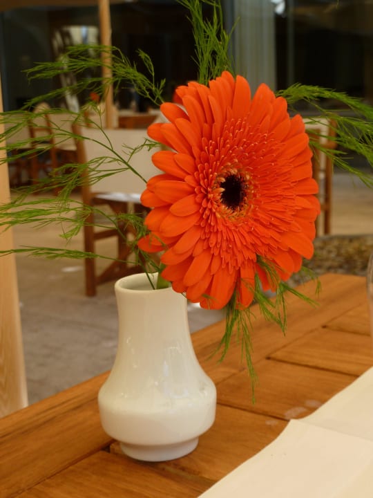 Hübsche Tischdekoration Falkensteiner Hotel Adriana