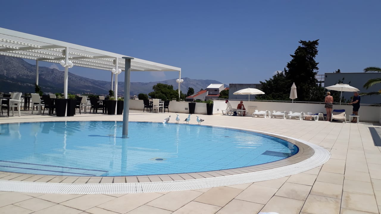Pool Marko Polo Maradiso Hotel by Aminess
