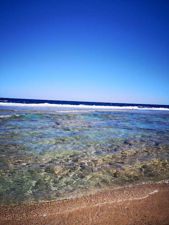 Strand Steigenberger Resort Alaya Marsa Alam - Red Sea - Adults only