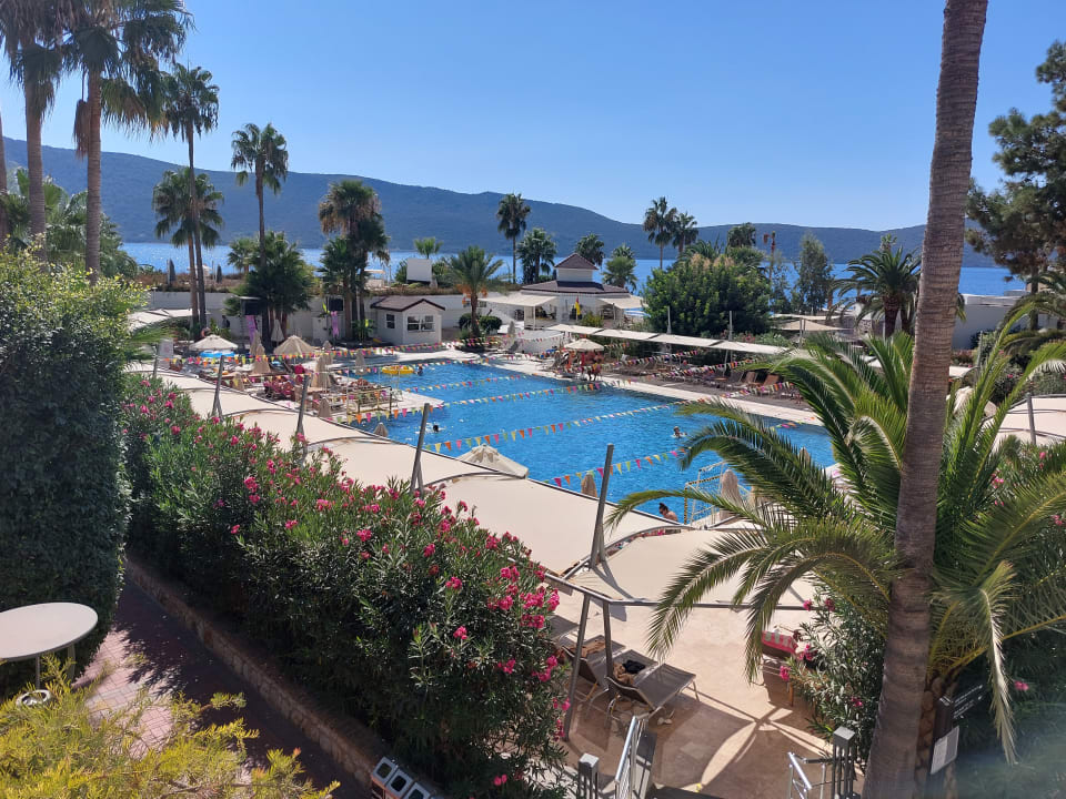 Pool TUI MAGIC LIFE Bodrum - Adult Only (16+)
