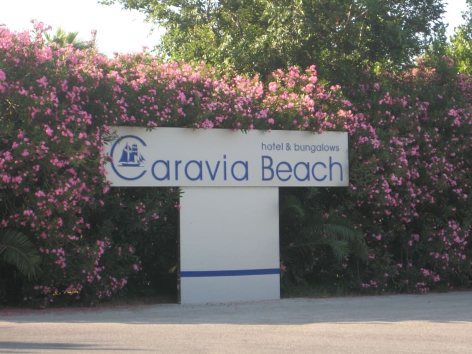 Selten eine so gepflegte Anlage gesehen Caravia Beach Hotel