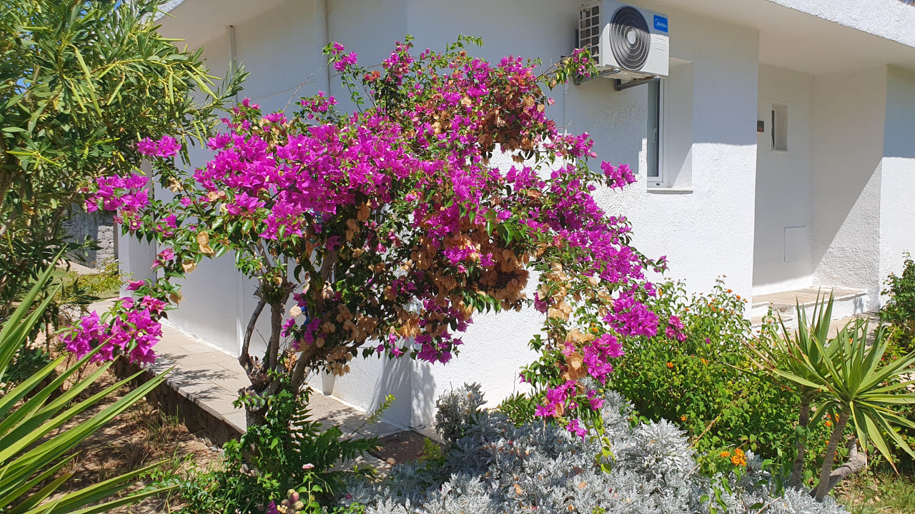 Gartenanlage Civitel Creta Beach