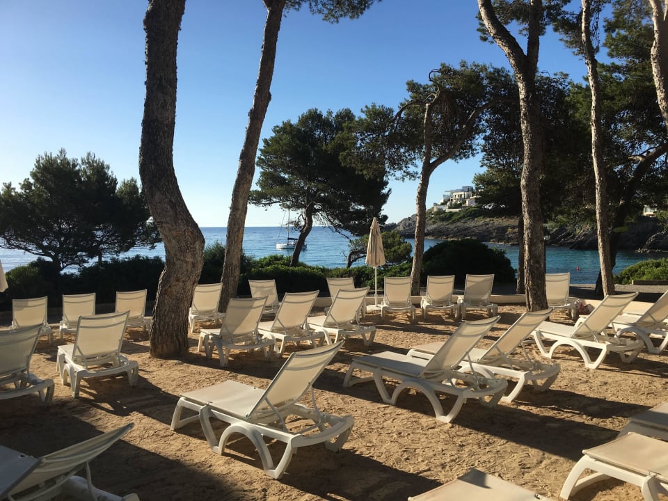 Pool- und Liegebereich Iberostar Waves Pinos Park