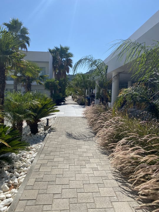 Gartenanlage White Dreams Resort & Anex