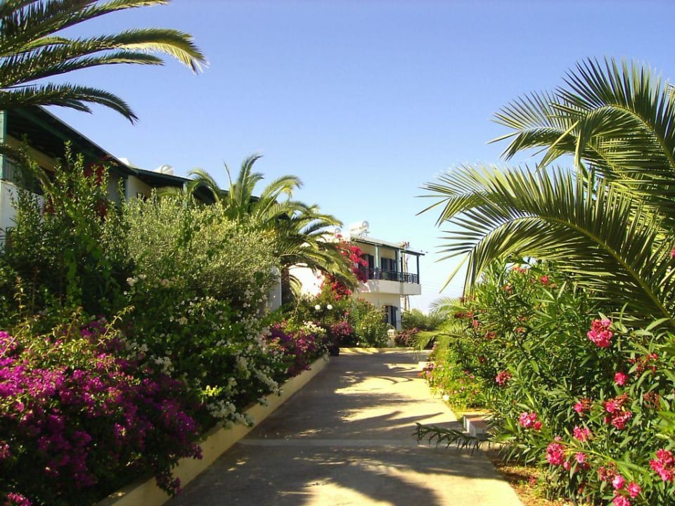 Bungalows TUI SUNEO Chrissi Amoudia