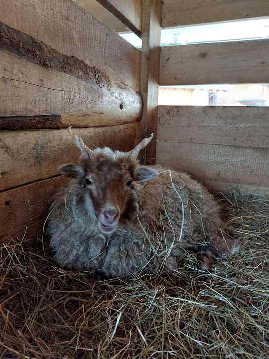 Sonstiges Bauernhof Haus Waldesruh