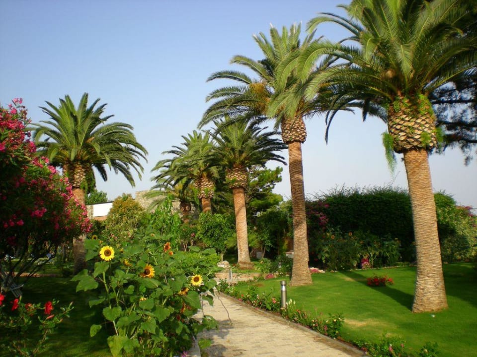 Gartenanlage Aldiana Club Rocca Nettuno Calabria