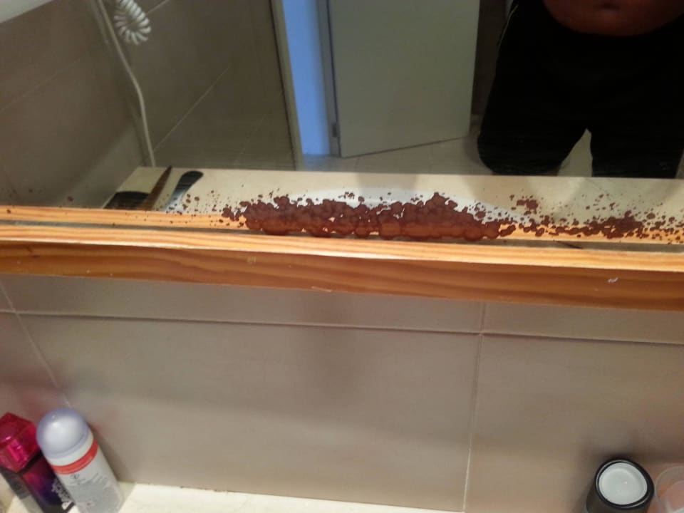 Bad Alcudia Garden Aparthotel