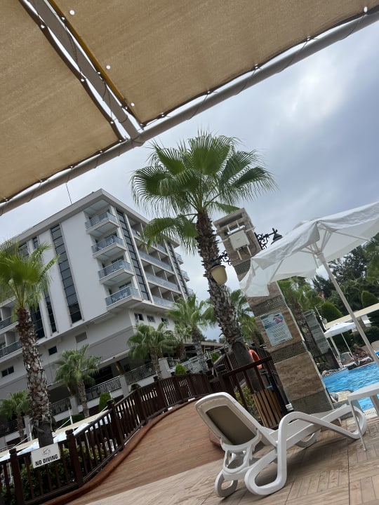 Pool Dizalya Palm Garden