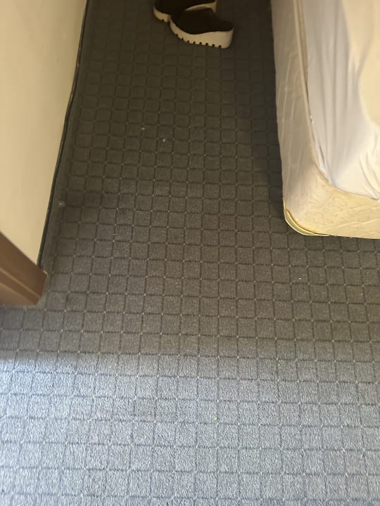 Zimmer Perre Delta Hotel
