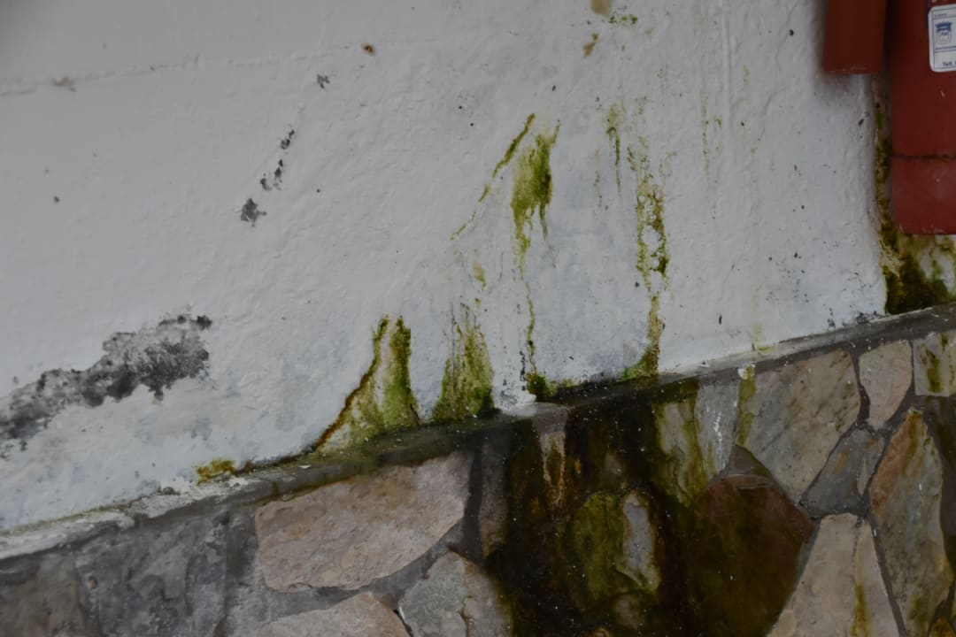 Sonstiges SBH Club Paraiso Playa