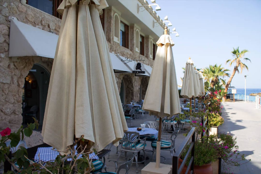 Café Mozart Pickalbatros Citadel Resort