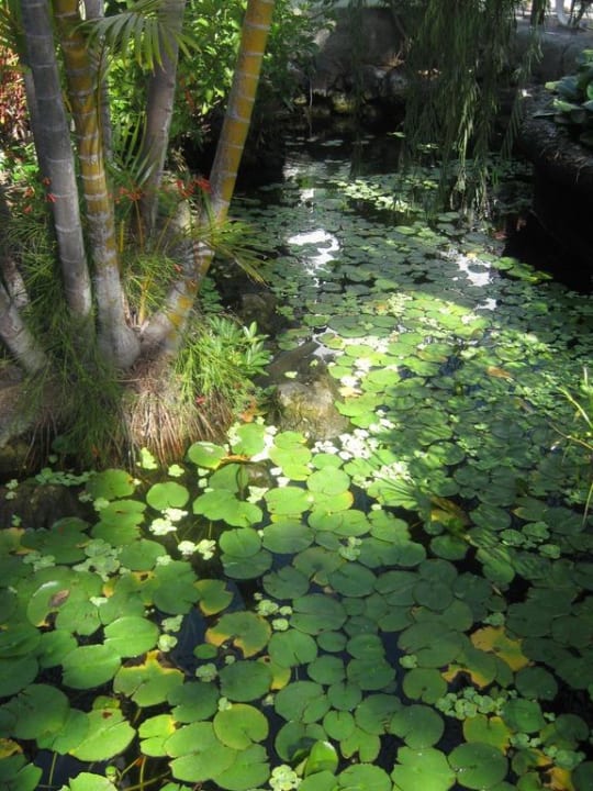 Seerosen Park Club Europe