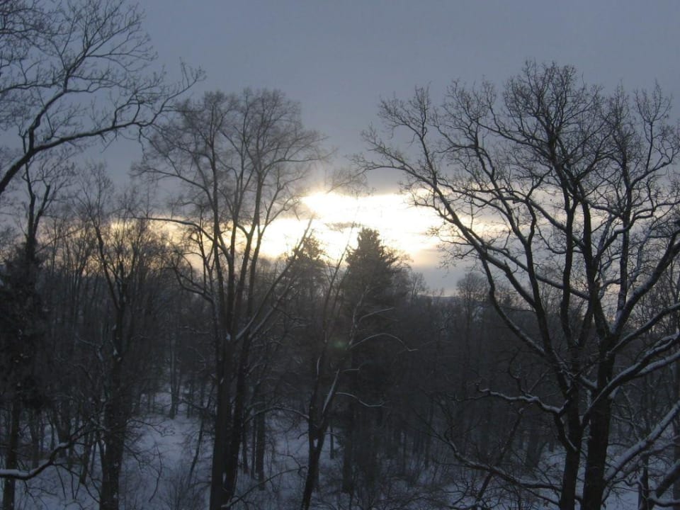 Widok z pokoju, prawdopodobnie wstaje dzień.. Pałac Wojanów