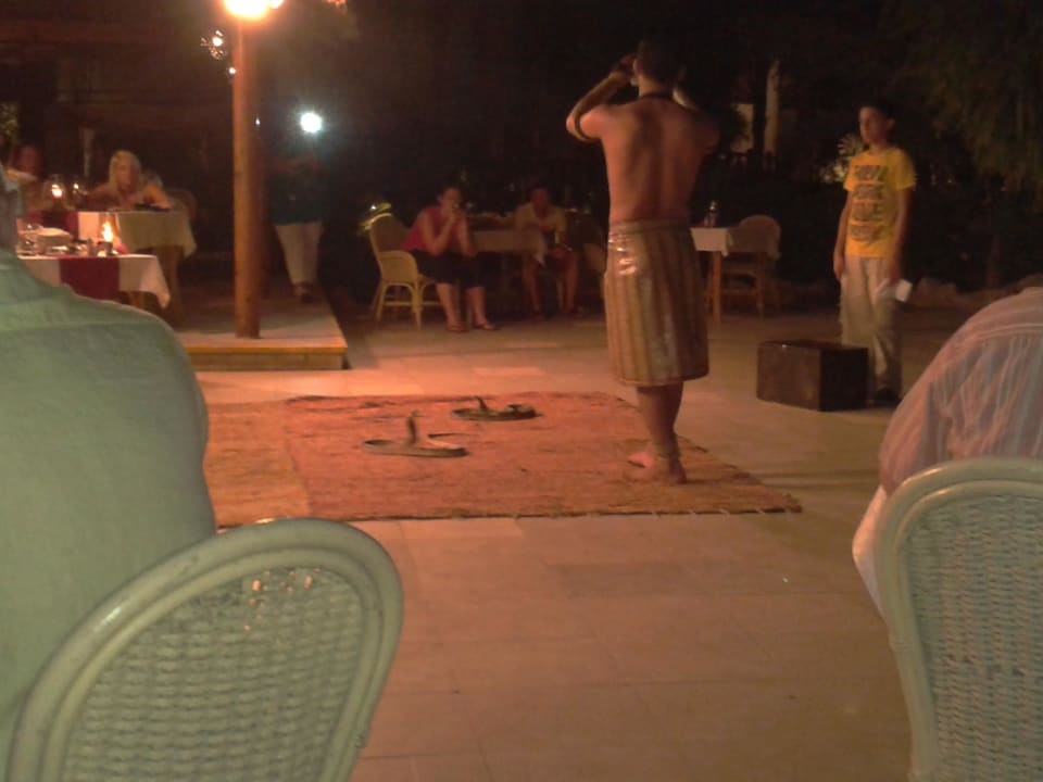 Oriental Show Ghazala Gardens