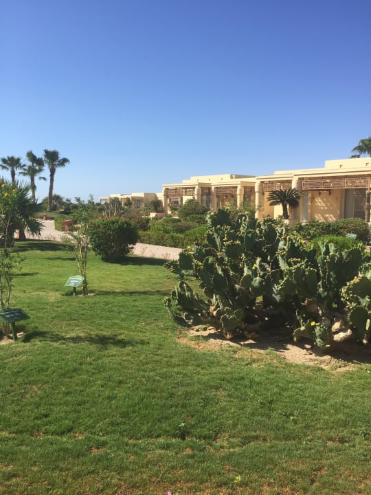 Gartenanlage Hotel Sheraton Soma Bay Resort