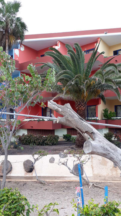 Außenansicht SBH Fuerteventura Playa