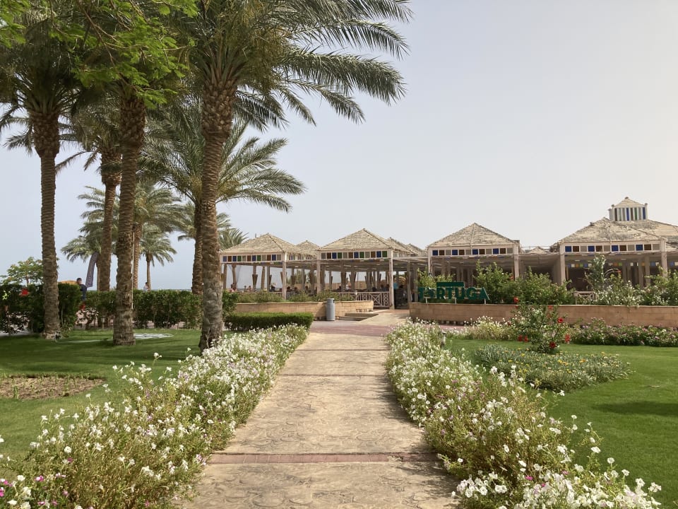 Gastro Sentido Caribbean World Soma Bay