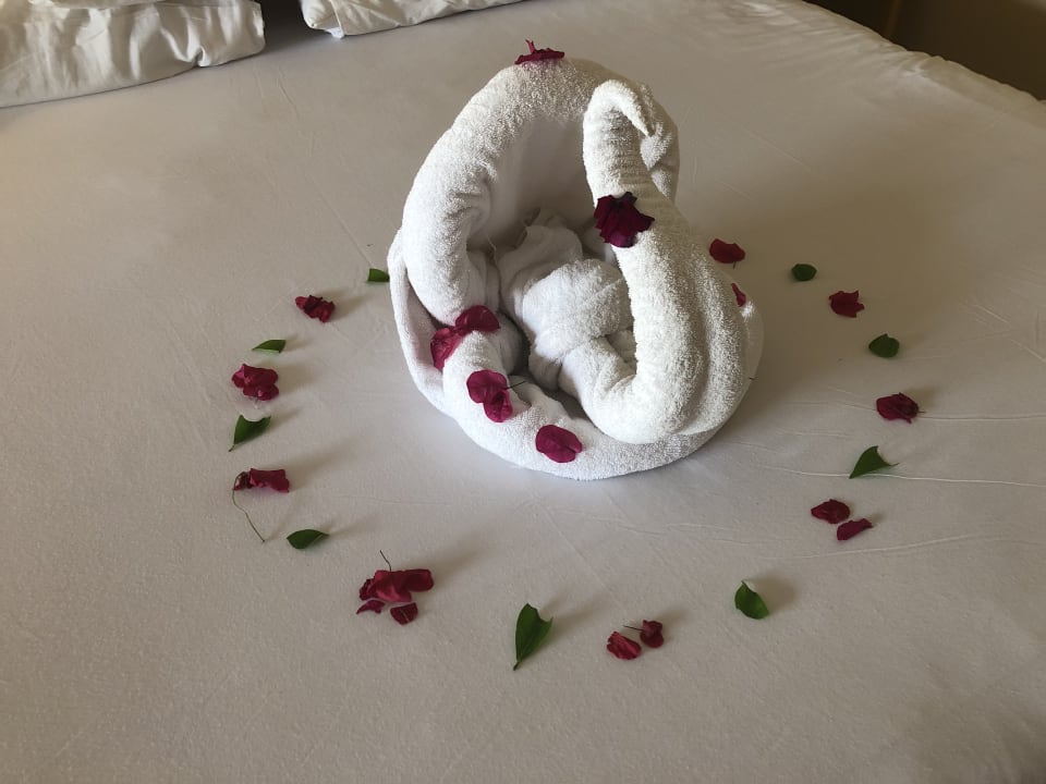 Zimmer Hotel JAZ Makadi Star & Spa