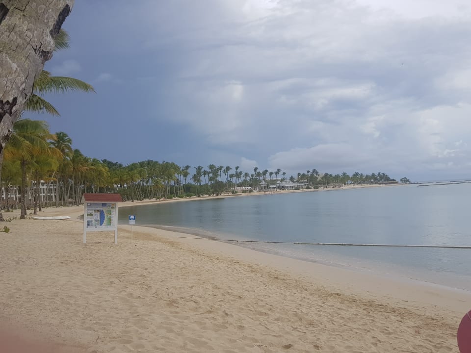 Wasser leider nicht klar Bahia Principe Luxury Bouganville