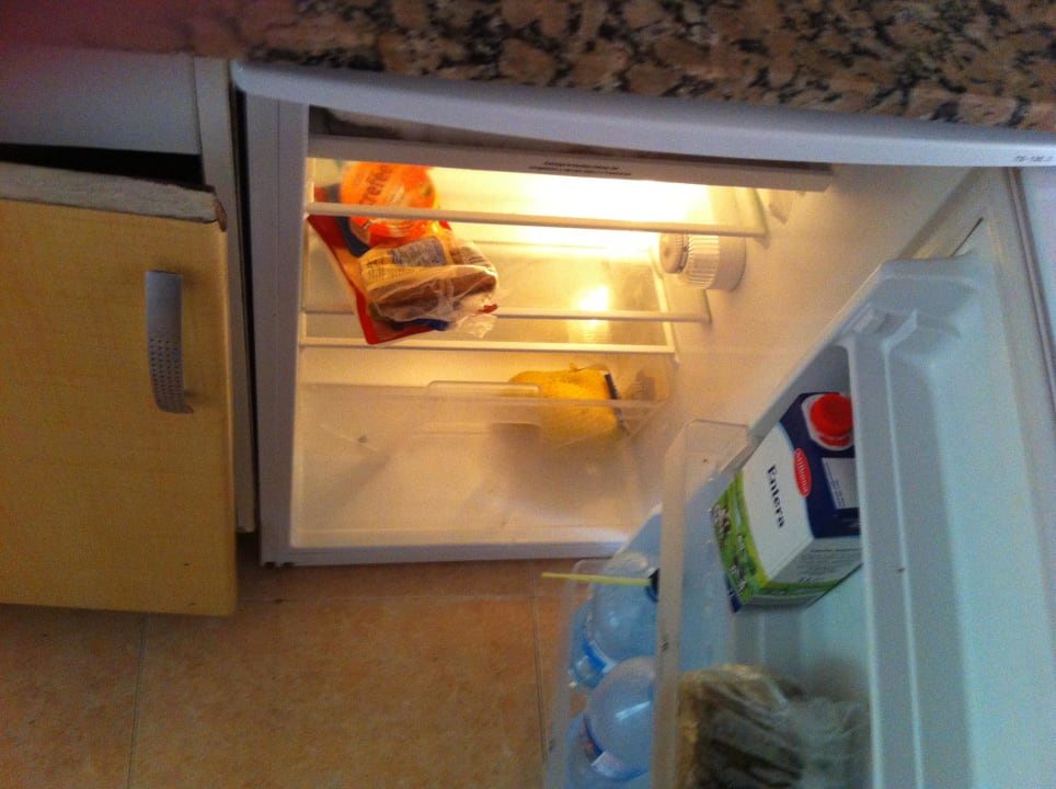 Kühlschrank Hotel Oasis Dunas