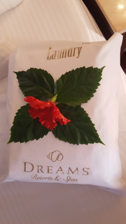 Zimmer Dreams Tulum Resort & Spa