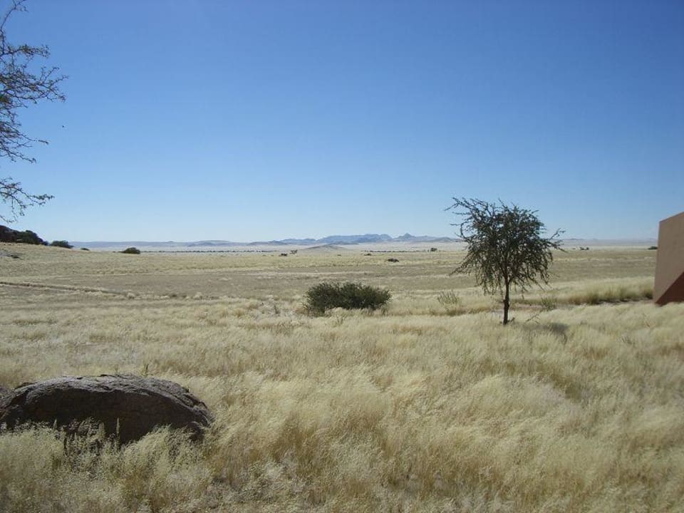 Blick von der Terrasse Namib Naukluft Lodge