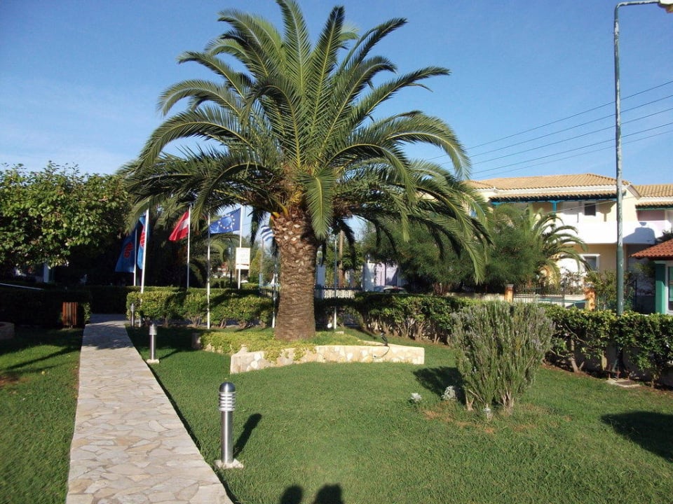 Eingangsbereich Außen Hotel Albatros