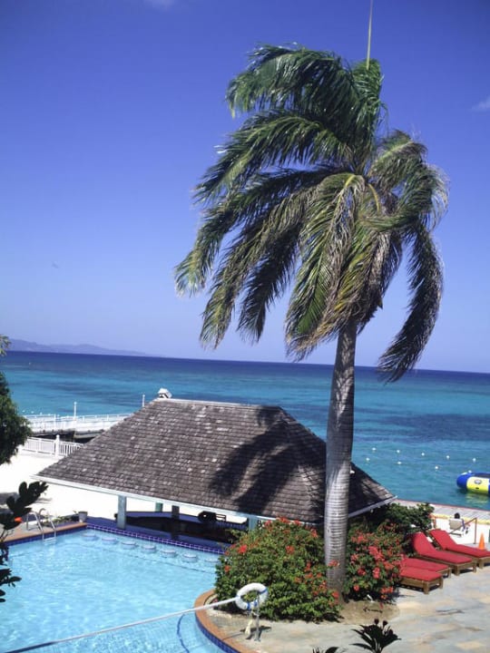 Aktionspool mit Swim-up-Bar Grand Decameron Montego Beach