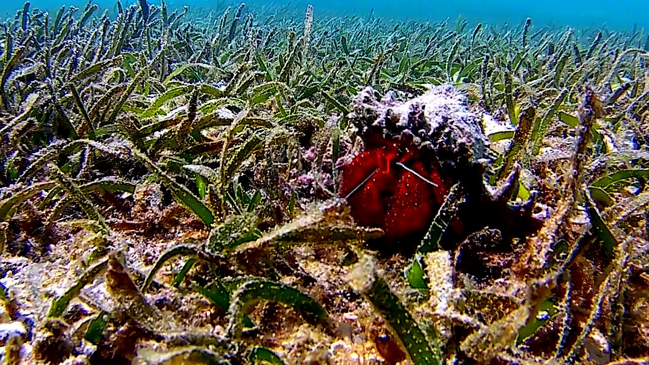 Sport & Freizeit Adaaran Select Hudhuran Fushi - Premium All Inclusive