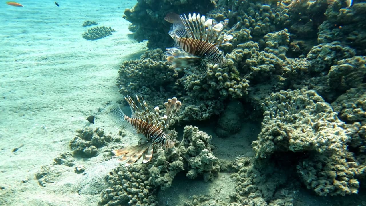 Strand Three Corners Equinox Beach Resort