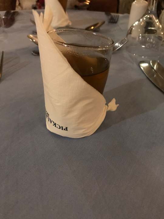Gastro Pickalbatros Palace Resort