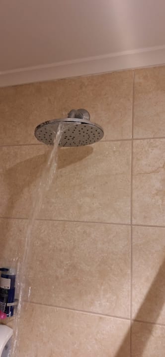 Zimmer Well Palace Side